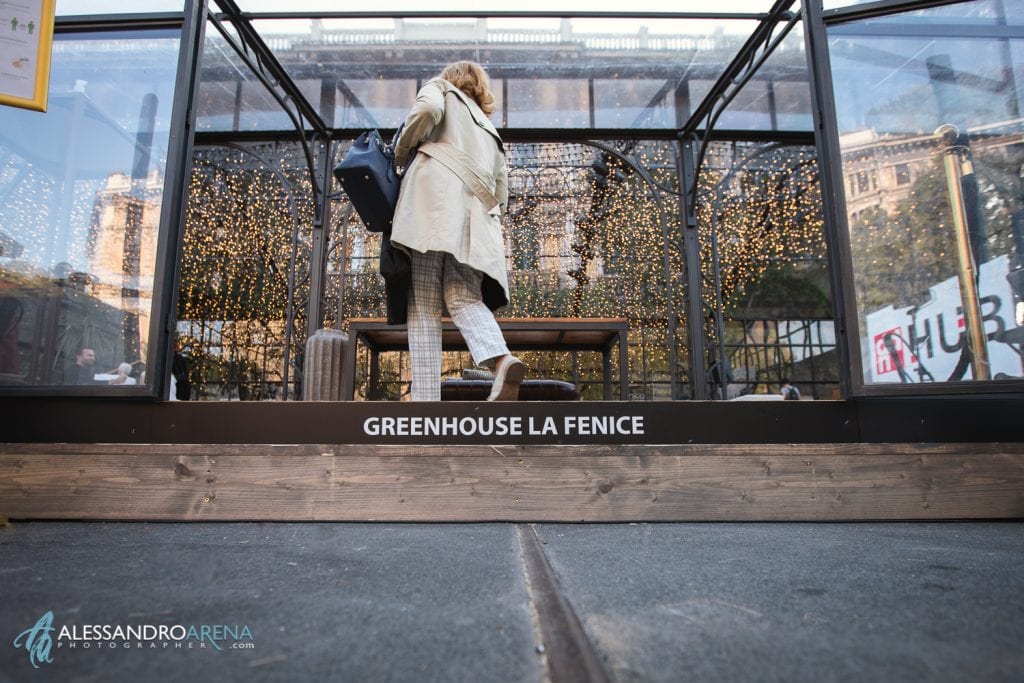 Ingresso serra La Fenice 