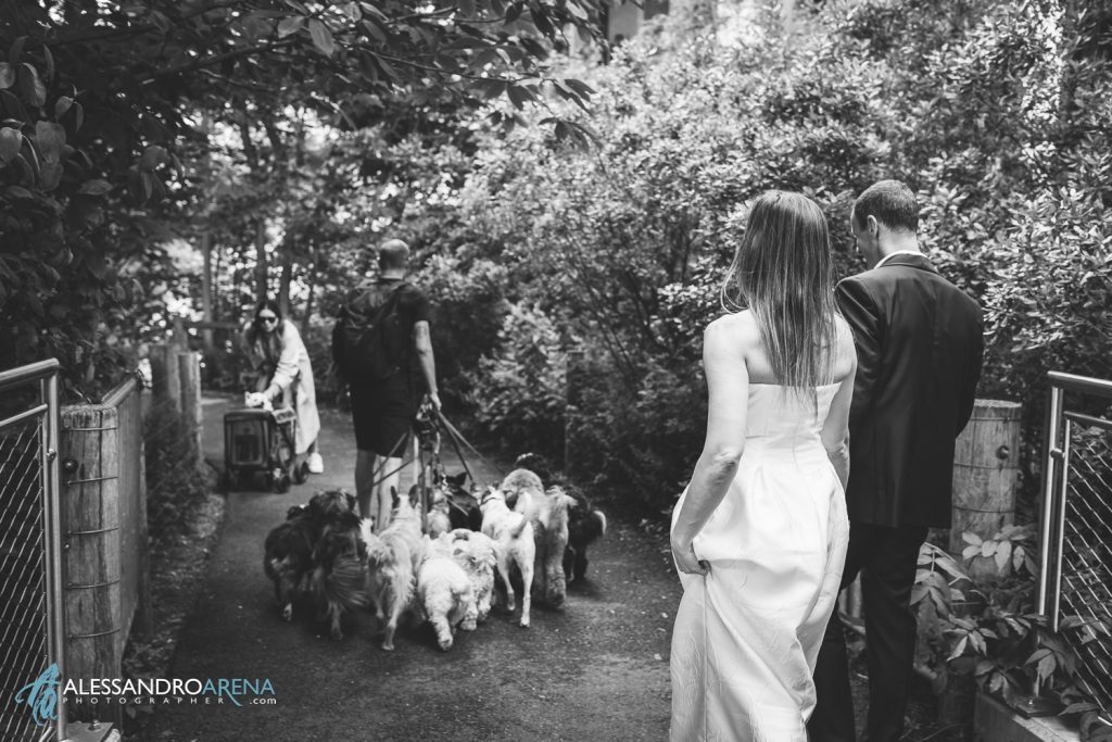 Urban wedding in New York Bride and groom in Brooklyn