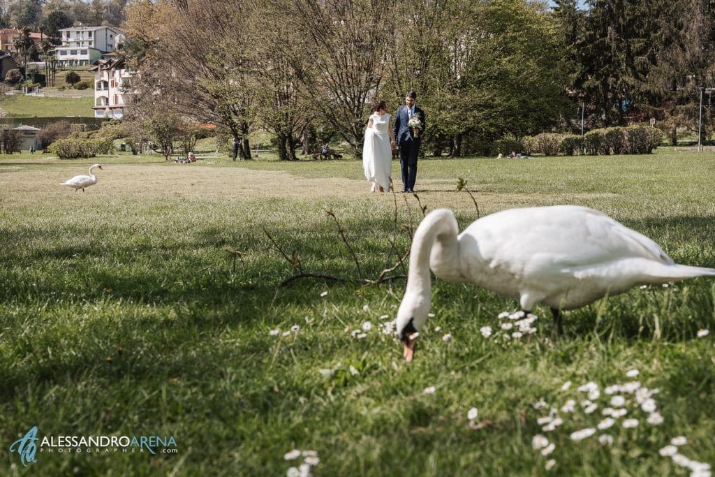 Sessione fotografica sposi - Parco di Ternate
